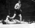 Fight18479.jpg