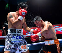 File:Fight2024561.jpg