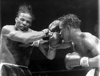 File:Fight42026.jpg