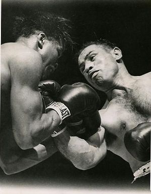Fight42027.jpg