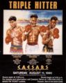 Fight4496Poster.jpg