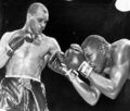 Fight60456.jpg