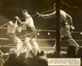 Fight91736.jpg