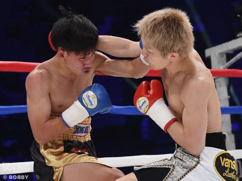 Fight 2162489.jpg