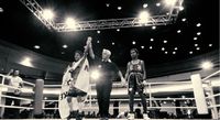 File:Fight 2556833 Isabelle Maria vs. Luhedy Santos (02).jpg