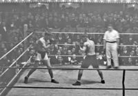 File:Fight 534869a.jpeg