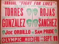 File:Fight for Lives.jpg
