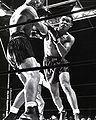 Fightin Joe.JPG