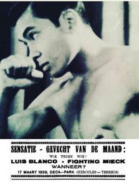 File:Fighting mieck.jpg