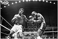 File 176825 2 ARCHIVE spinks vs qawi.jpg
