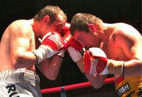 File:Fitzgerald v Ribchev1.jpg