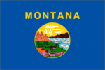state flag