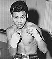 Flash Elorde.jpg
