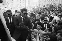 File:Flowers for Ali.jpg
