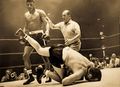 Floyd-Patterson-Johansson 3.jpg
