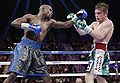 Floyd-mayweather-alvarez.jpg
