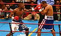 Floyd Bruseles530x317.jpg