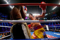 Floyd Mayweather Jr. vs. Manny Pacquiao 472022120.jpg