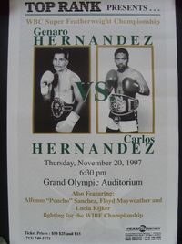 File:Floyd Mayweather Jr vs. Angelo Nunez.jpg