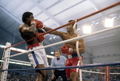 Foreman-Lyle 84389807.jpg