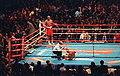 Thumbnail for version as of 03:31, 11 March 2013