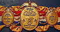 Foreman Ring Belt.jpg