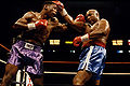 Foreman vs. Stewart.jpg