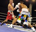 France IBF PPP.jpg