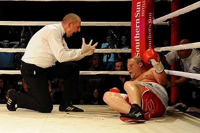 Francois Botha vs. Michael Grant.jpg