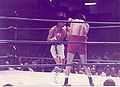 Frankie Baltazar v Jorge Ramos (3).jpg
