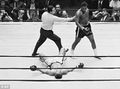 Frazier-Ellis-0-0EB625CB00000578-736 468x346.jpg