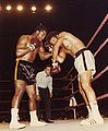 Frazier-Ellis I.jpg