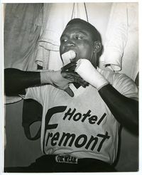 File:Fremont Tiger.jpg
