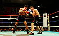 Thumbnail for version as of 20:22, 30 September 2010