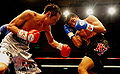 Thumbnail for version as of 22:01, 29 September 2010