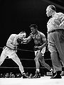 Fullmer-Robinson 4 81354935.jpg