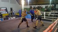 File:Gabriel Bonfim vs. Ademir de Jesus Machado (11).jpg