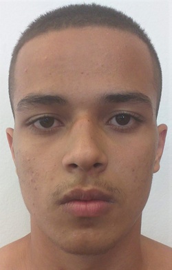 Gabriel Pereira Goncalves.jpeg