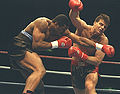 Gastineau-boxing-Highamith.jpg