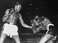 Gavilan-Saxton-U1070483.jpg
