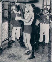 File:Gavilan2.jpg