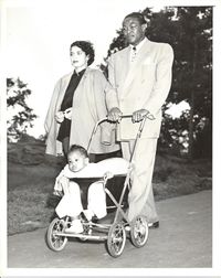 File:Gavilans in Park.JPG