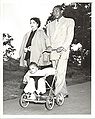 Gavilans in Park.JPG