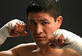 Thumbnail for version as of 08:06, 29 May 2011