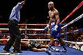Glen Johnson vs. Allan Green.02.jpg