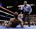 Glen Johnson vs. Allan Green.03.jpg