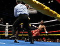 Glen Johnson vs. Daniel Judah 2nd Meeting.jpg