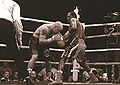 Glenn Catley vs. Dingaan Thobela.jpg
