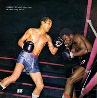 File:Godfrey Stevens vs. Jerry Stokes.jpg