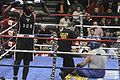 GoldenGLOVES2011.jpg